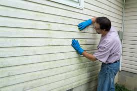 Affordable Siding Repair and Maintenance Services in West Clarkston Highland, WA